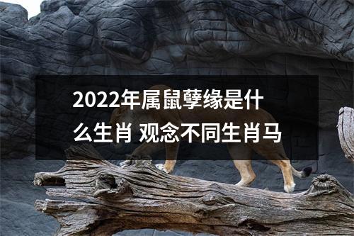 2022年属鼠孽缘是什么生肖观念不同生肖马